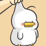 sean zhang Profile Picture