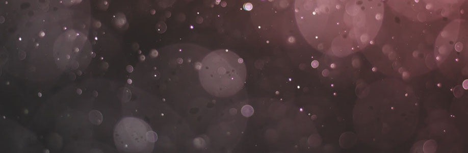 fly loong Cover Image